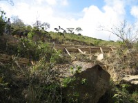 /album/obras/andino1-1146-jpg/